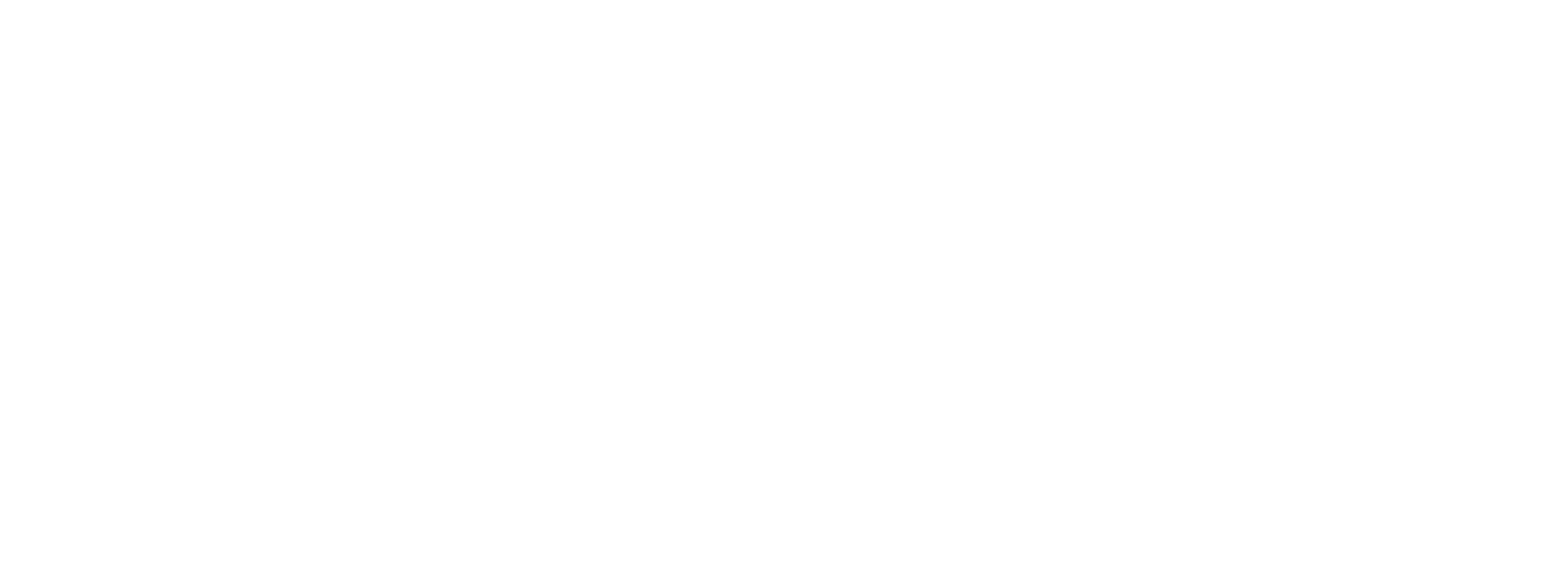 PMI Logo